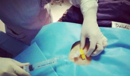 输液港维护视频,轻松掌握输液港日常维护技巧